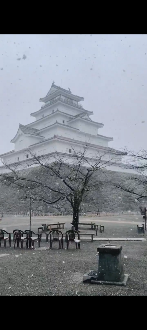 Petite photo tirer du réel